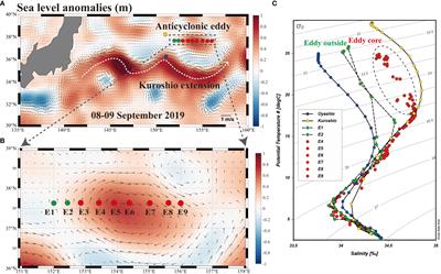The distribution and emission of CO2, CH4 and light hydrocarbons in an anticyclonic eddy of the Kuroshio extension